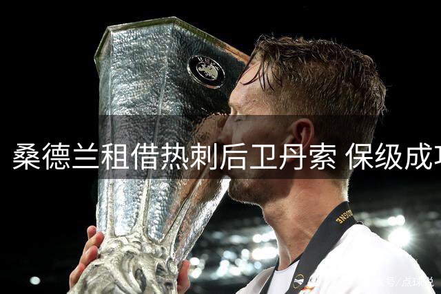 桑德兰租借热刺后卫丹索 保级成功将强制买断